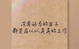 植物大战僵尸二零阳光_植物大战僵尸二零阳光全植物五阶下