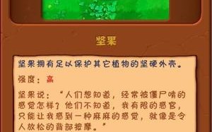 植物大战僵尸大坚果，植物大战僵尸大坚果和小坚果的区别