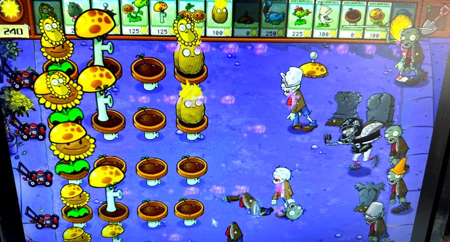 植物大战僵尸通关秘籍，植物大战僵尸过关秘籍-第5张图片-屿企游戏网