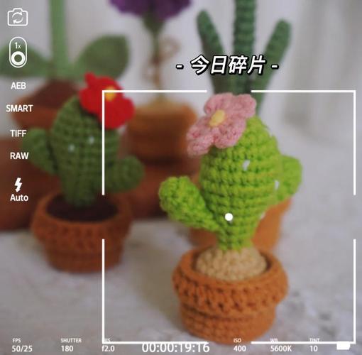 植物大战僵尸2三阶植物-植物大战僵尸2三阶植物给多少碎片-第5张图片-屿企游戏网 植物大战僵尸2三阶植物-植物大战僵尸2三阶植物给多少碎片-第5张图片-屿企游戏网