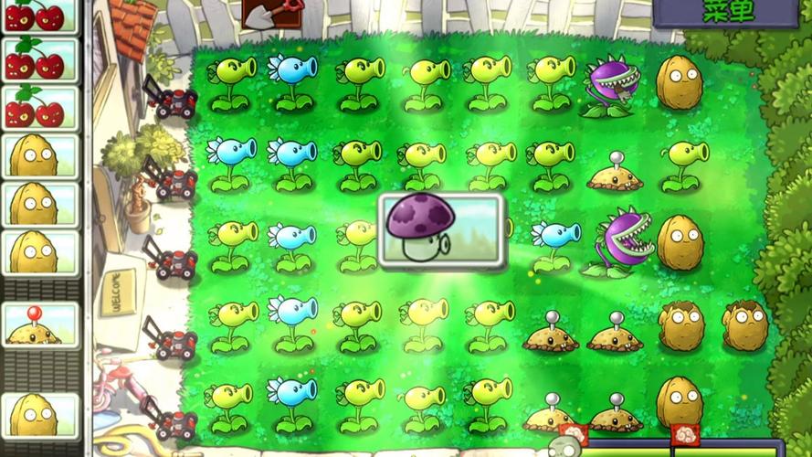 植物大战僵尸攻略大全，植物大战僵尸攻略大全图解 水池-第3张图片-屿企游戏网