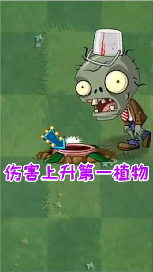 植物大战僵尸满5阶植物_植物大战僵尸五阶植物全解锁-第3张图片-屿企游戏网 植物大战僵尸满5阶植物_植物大战僵尸五阶植物全解锁-第3张图片-屿企游戏网