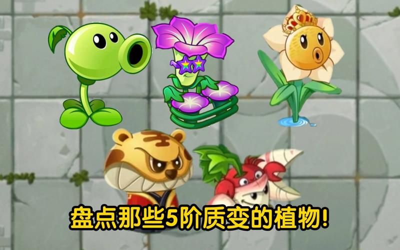 植物大战僵尸满5阶植物_植物大战僵尸五阶植物全解锁-第5张图片-屿企游戏网 植物大战僵尸满5阶植物_植物大战僵尸五阶植物全解锁-第5张图片-屿企游戏网