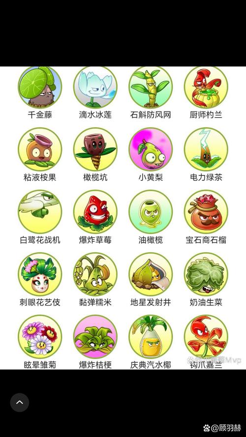 植物大战僵尸出植物_植物大战僵尸中植物-第6张图片-屿企游戏网 植物大战僵尸出植物_植物大战僵尸中植物-第6张图片-屿企游戏网
