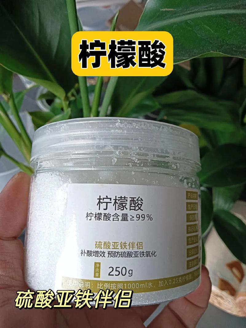 植物大战僵尸2小学菇_植物大战僵尸二小僵尸