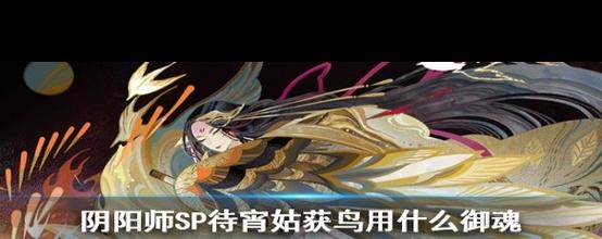 阴阳师极品鸟御魂-sp鸟的御魂-第6张图片-屿企游戏网