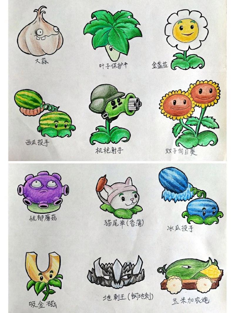 植物大战僵尸向日葵简笔画_植物大战僵尸里的向日葵简笔画-第4张图片-屿企游戏网