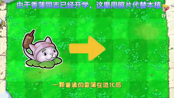 植物大战僵尸种植物，植物大战僵尸种植物的花园有那些-第4张图片-屿企游戏网