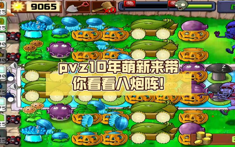 植物大战僵尸游戏攻略-植物大战僵尸游戏攻略第一关-第2张图片-屿企游戏网