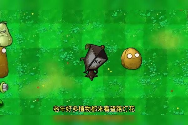 植物大战僵尸2路灯花,植物大战僵尸2路灯花简笔画-第4张图片-屿企游戏网 植物大战僵尸2路灯花,植物大战僵尸2路灯花简笔画-第4张图片-屿企游戏网