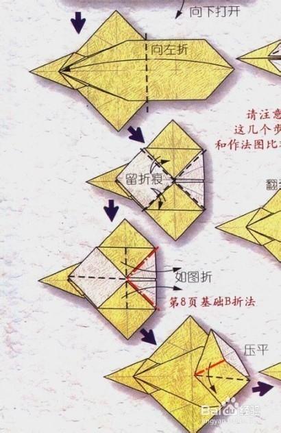 折纸植物大战僵尸坚果，植物大战僵尸坚果手工制作-第3张图片-屿企游戏网