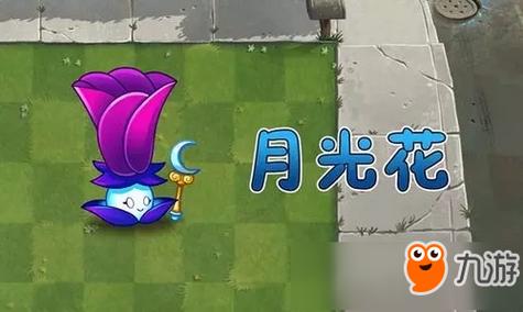 植物大战僵尸道具介绍，植物大战僵尸道具图鉴-第6张图片-屿企游戏网