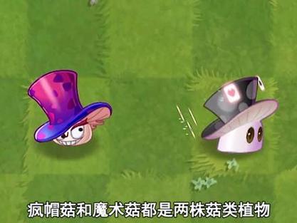 植物大战僵尸2魔术菇怎么得，植物大战僵尸2魔术菇百度百科-第3张图片-屿企游戏网