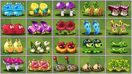 植物大战僵尸新植物,植物大战僵尸新植物图片-第4张图片-屿企游戏网 植物大战僵尸新植物,植物大战僵尸新植物图片-第4张图片-屿企游戏网