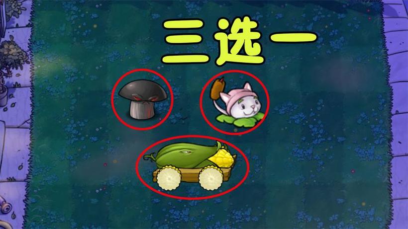 植物大战僵尸2哪个植物_植物大战僵尸2哪个植物可以眩晕-第2张图片-屿企游戏网