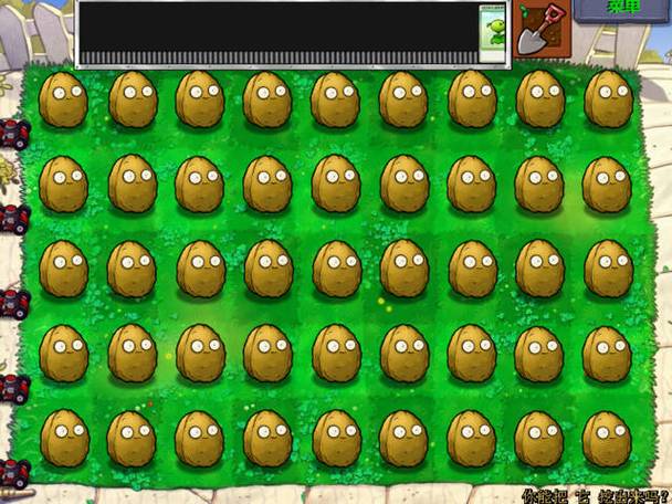 植物大战僵尸坚果，植物大战僵尸坚果怎么画-第1张图片-屿企游戏网