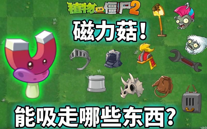 植物大战僵尸磁力菇，植物大战僵尸磁力菇范围多大-第4张图片-屿企游戏网