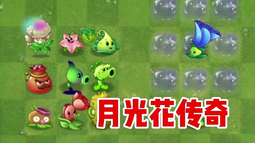 植物大战僵尸2月光花，植物大战僵尸2月光花和向日葵-第2张图片-屿企游戏网