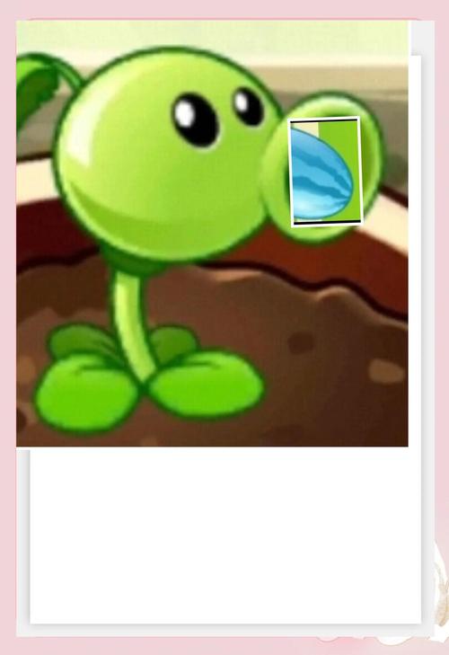 植物大战僵尸植物2阶，植物大战僵尸植物阶数-第5张图片-屿企游戏网