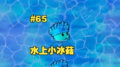 植物大战僵尸寒冰菇-植物大战僵尸寒冰菇作用