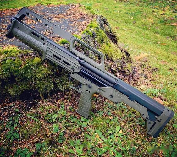 崩坏学院哪个武器比较好-崩坏学园22020年顶配套装-第2张图片-屿企游戏网