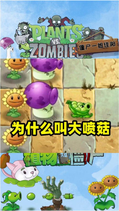 植物大战僵尸2大喷菇，植物大战僵尸2大喷菇伤害-第3张图片-屿企游戏网