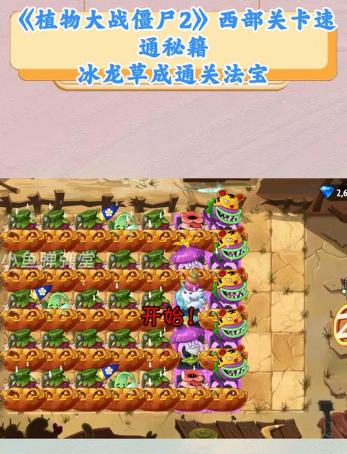 植物大战僵尸西部2关-植物大战僵尸2西部攻略困难模式-第4张图片-屿企游戏网