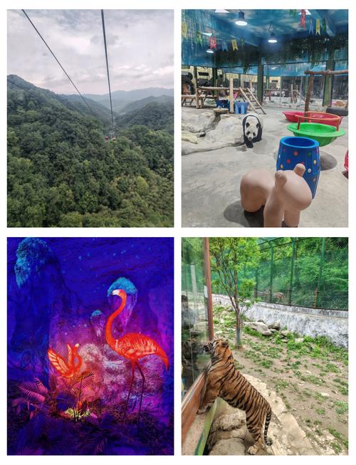 王者荣耀动物园攻略大全，王者荣耀动物园攻略大全视频-第1张图片-屿企游戏网