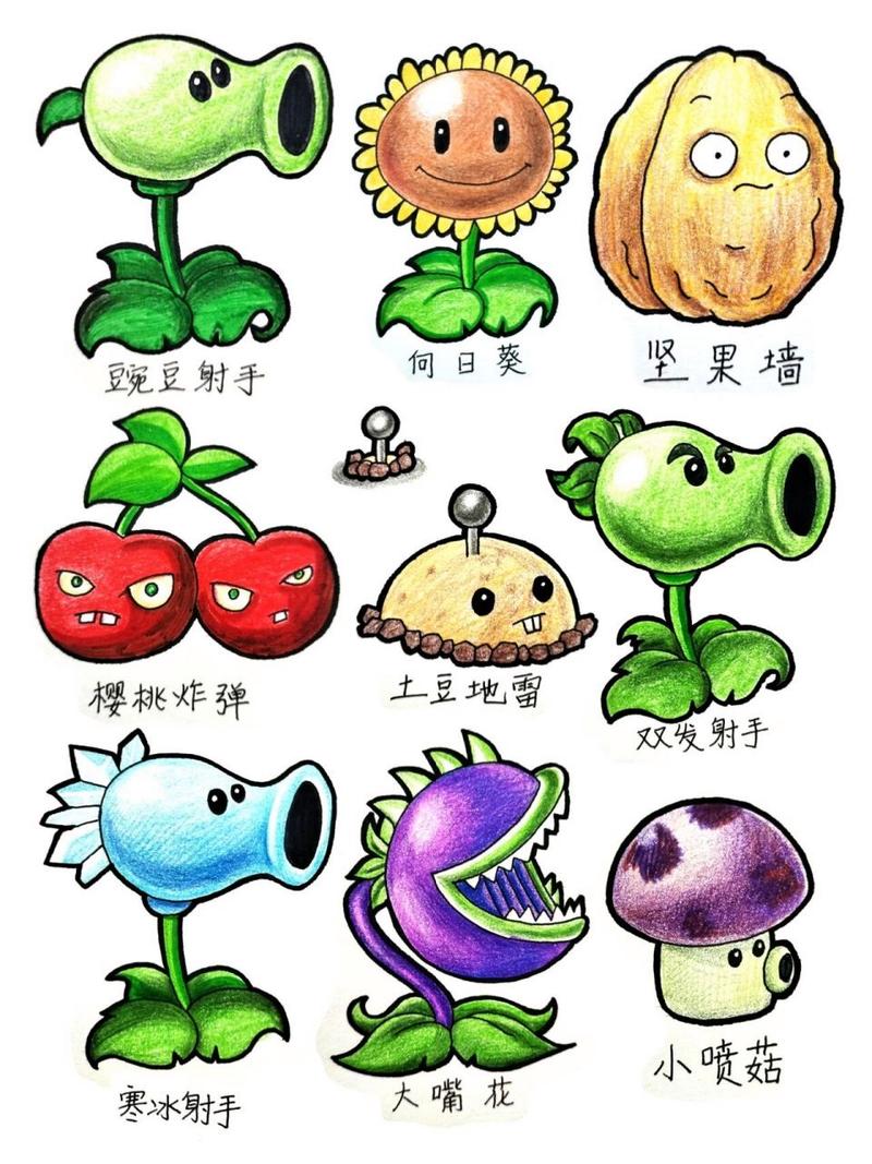 植物大战僵尸的植物怎么画_植物大战僵尸的植物怎么画简单又漂亮-第3张图片-屿企游戏网 植物大战僵尸的植物怎么画_植物大战僵尸的植物怎么画简单又漂亮-第3张图片-屿企游戏网