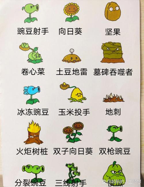 植物大战僵尸的所有植物_植物大战僵尸的所有植物视频-第4张图片-屿企游戏网