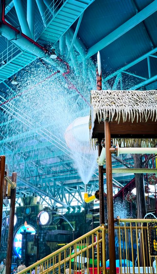 龙之谷水世界门票攻略-龙之谷景区-第3张图片-屿企游戏网