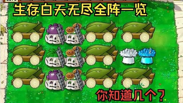植物大战僵尸攻略图，植物大战僵尸攻略视频大全-第3张图片-屿企游戏网