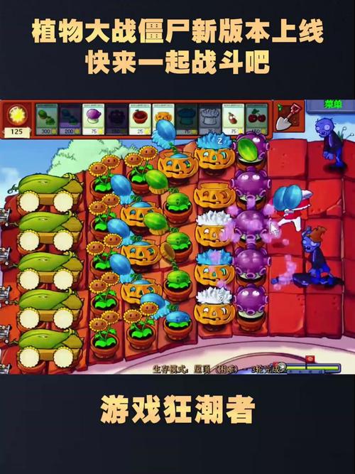植物大战僵尸之花园战争-花园战争2免费下载-第1张图片-屿企游戏网 植物大战僵尸之花园战争-花园战争2免费下载-第1张图片-屿企游戏网