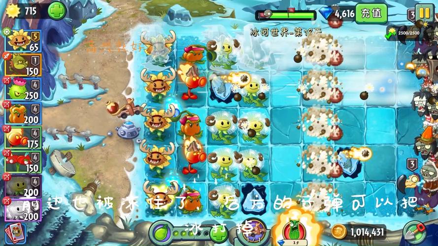 植物大战僵尸2困难攻略_植物大战僵尸2困难攻略视频-第4张图片-屿企游戏网