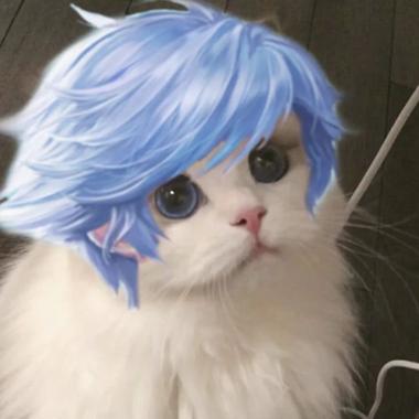 王者荣耀猫咪攻略，王者 猫猫-第4张图片-屿企游戏网