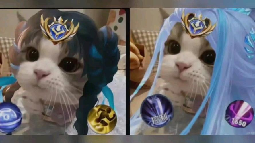 王者荣耀猫咪攻略，王者 猫猫-第6张图片-屿企游戏网