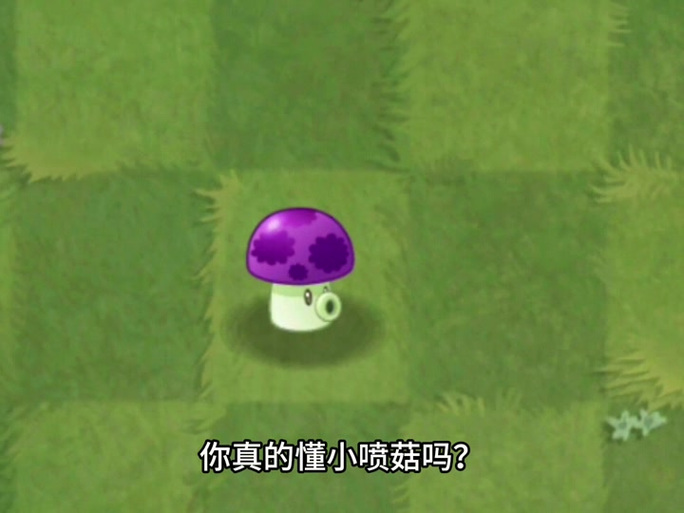 植物大战僵尸小喷菇，植物大战僵尸小喷菇是什么-第2张图片-屿企游戏网