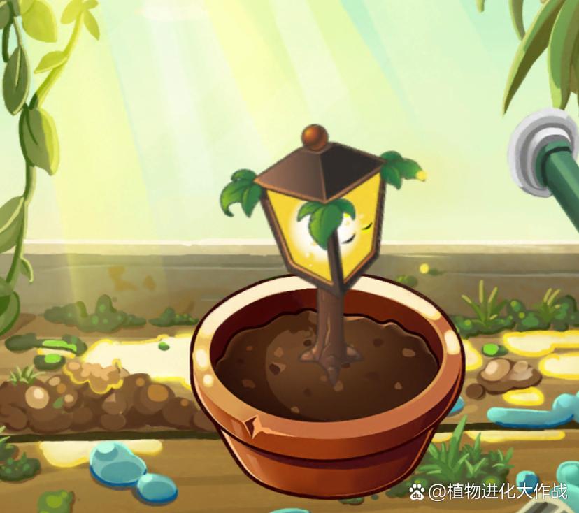 植物大战僵尸路灯花，植物大战僵尸路灯花范围-第1张图片-屿企游戏网