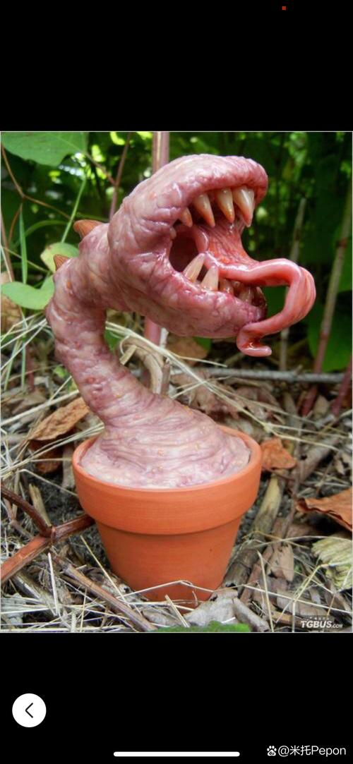 植物大战僵尸与大嘴花-植物大战僵尸大嘴花简笔画画大全-第1张图片-屿企游戏网