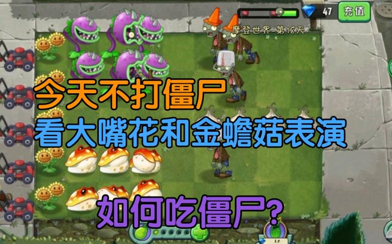 植物大战僵尸与大嘴花-植物大战僵尸大嘴花简笔画画大全-第5张图片-屿企游戏网