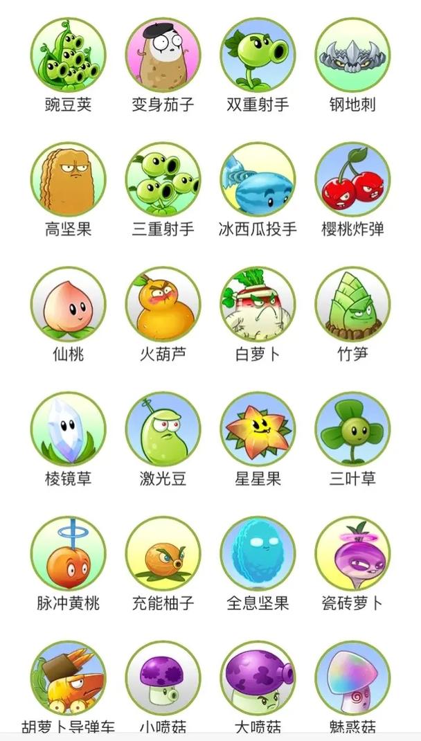 植物大战僵尸2植物排名-植物大战僵尸2中植物综合排名-第6张图片-屿企游戏网