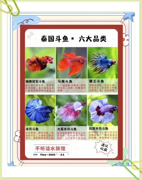 王者荣耀皇上攻略_王者荣耀皇宫-第5张图片-屿企游戏网