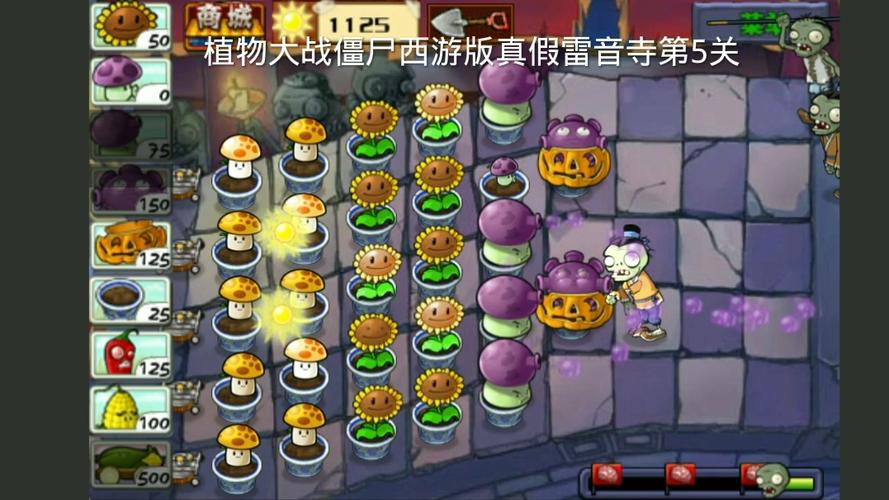 植物大战僵尸5-6_植物大战僵尸56攻略-第6张图片-屿企游戏网