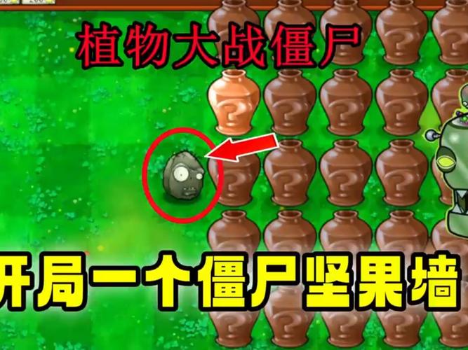 坚果植物大战僵尸_坚果植物大战僵尸图片-第2张图片-屿企游戏网 坚果植物大战僵尸_坚果植物大战僵尸图片-第2张图片-屿企游戏网