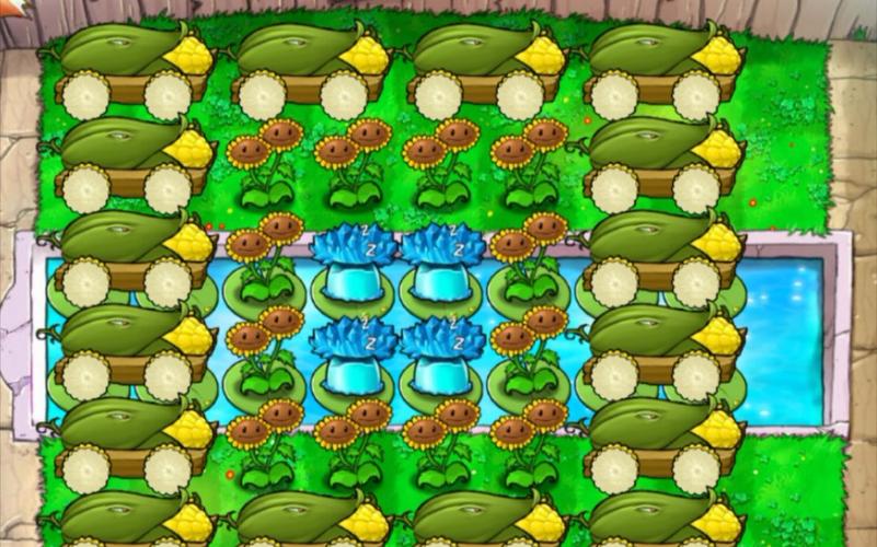 植物大战僵尸无尽版攻略图，植物大战僵尸无尽版最佳攻略-第5张图片-屿企游戏网