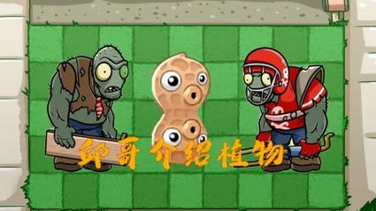植物大战僵尸2花生射手-植物大战僵尸2花生射手三阶-第3张图片-屿企游戏网