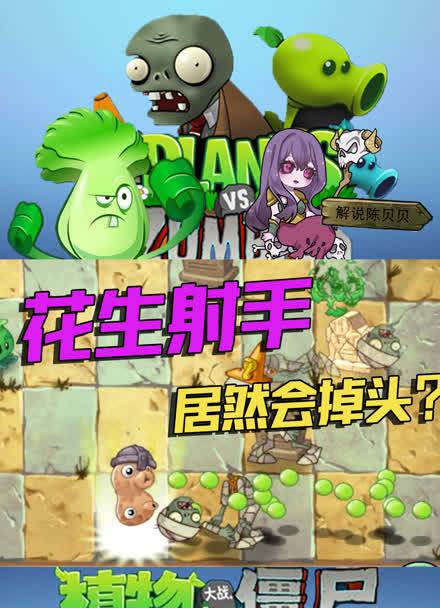 植物大战僵尸2花生射手-植物大战僵尸2花生射手三阶-第4张图片-屿企游戏网