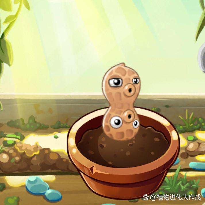 植物大战僵尸2花生射手-植物大战僵尸2花生射手三阶-第5张图片-屿企游戏网