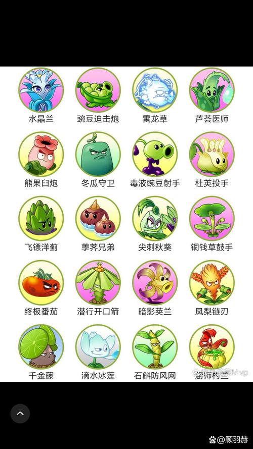 植物大战僵尸3的植物-植物大战僵尸3的植物怎么画-第3张图片-屿企游戏网