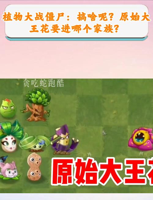植物大战僵尸2原始大王花视频，植物大战僵尸2 原始大王花